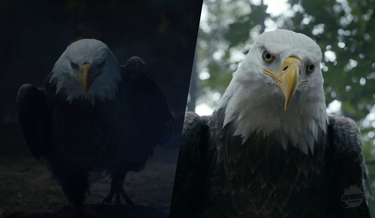 Pacificador 2ª temporada confirma status especial de Eagly no DCU