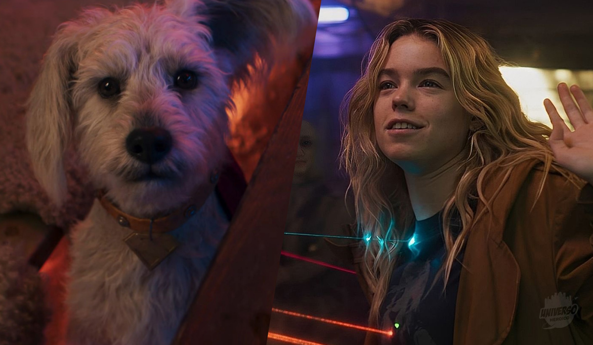 Supergirl ganha novo teaser com Krypto em destaque